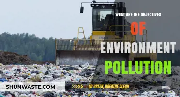 Understanding Environmental Pollution Goals