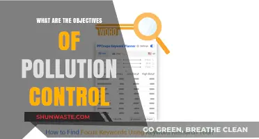 Strategies to Combat Pollution and Save the Planet