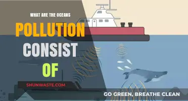 The Oceans' Pollution: What's Harming Our Seas?