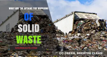 Effective Solid Waste Disposal: Exploring Sustainable Options for a Greener Future