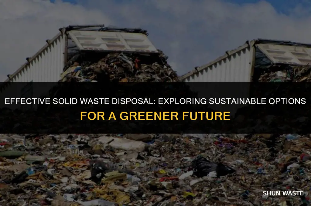 what are the options for disposing of solid waste