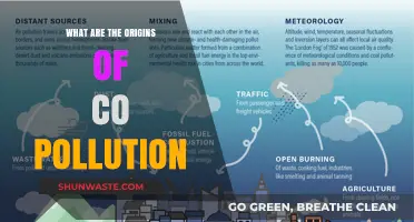 The Historical Roots of Air Pollution