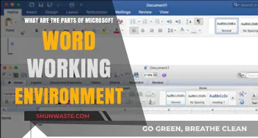 Exploring Microsoft Word: Key Components of Its Working Environment