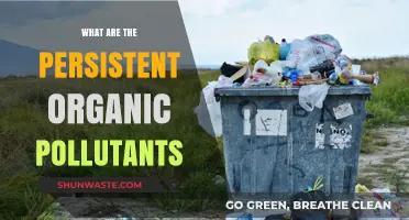 Organic Pollutants: Persistent, Dangerous, and Their Impact
