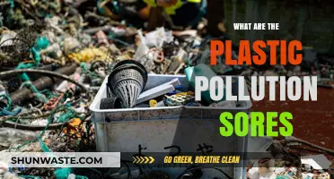 Plastic Pollution: Identifying the Wounds