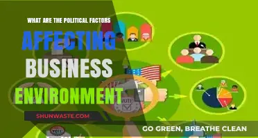 Political Factors Shaping the Business Environment: Key Influences and Impacts