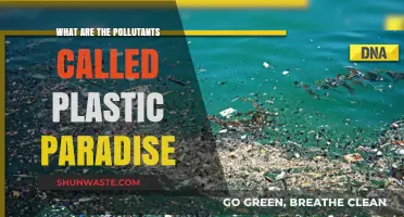 Plastic Paradise: The Dark Side of Synthetic Pollution