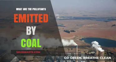 Coal's Polluting Secrets: Emissions and Their Effects