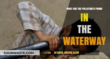 Waterway Pollutants: Understanding the Contaminants in Our Waterways