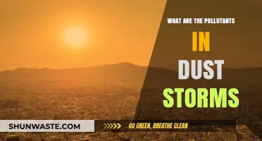 Dust Storms: Understanding the Pollutants and Their Impact