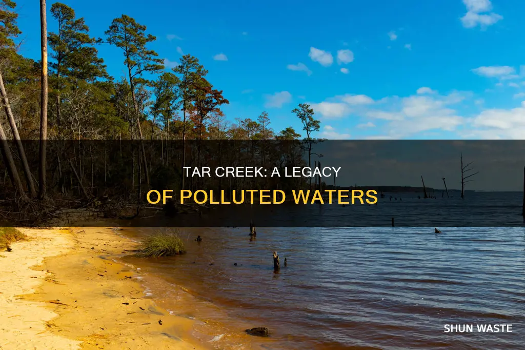 what are the pollutants in tar creek
