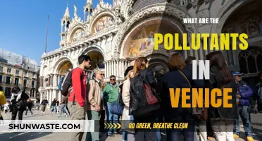 Venice's Water Pollution: Toxic Chemicals and Human Impact