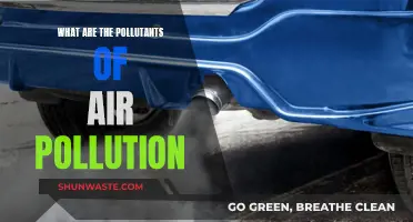 Air Pollutants: Understanding the Toxic Components