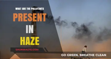 Haze and its Harmful Pollutants
