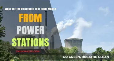 Power Stations: Polluting Our Air, Water, and Soil