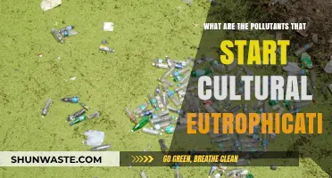 Cultural Eutrophication: Pollutants and Their Impact