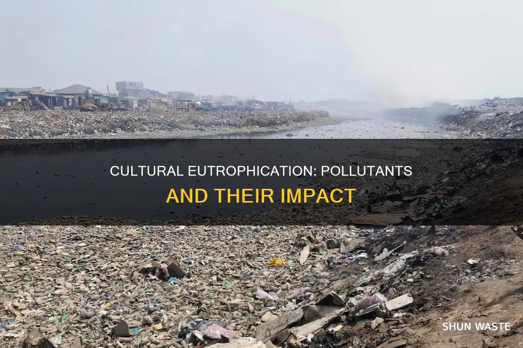 what are the pollutants that start cultural eutrophication
