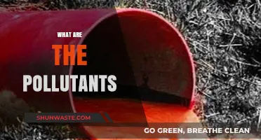 Air, Water, and Soil: Pollutants Revealed