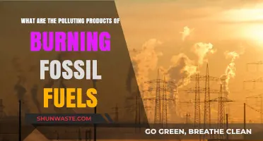 Fossil Fuels: Burning Pollutants and Their Harmful Effects