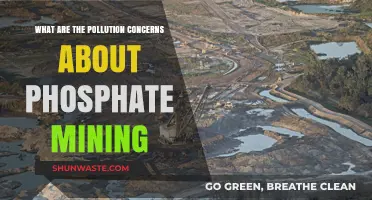 Phosphate Mining: Pollution and Environmental Concerns
