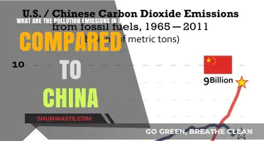 Pollution Emissions: US vs China Compared