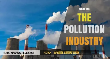 The Pollution Industry: Making Money from Making Mess