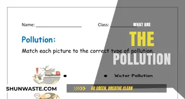 Understanding Pollution: Its Types and Impact