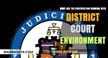 District Court Careers: Unlocking Unique Benefits and Growth Opportunities