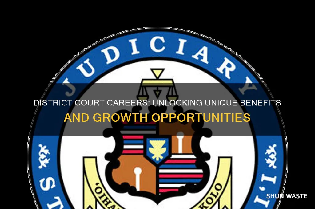 what are the positives for working with district court environment