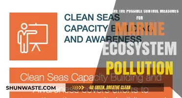 Protecting Marine Life: Pollution Control Measures