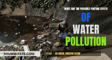 Unveiling Future Water Woes: Pollution's Impact on Our Planet