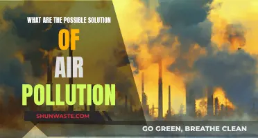 Solutions to Air Pollution: Strategies for Clean Air