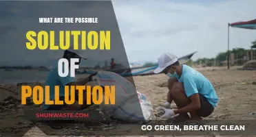 Innovative Solutions to Combat Pollution