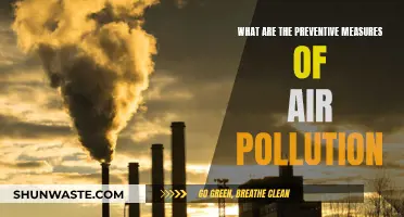 Preventing Air Pollution: Simple Steps for Clean Air