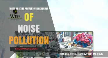 Preventing Noise Pollution: Practical Measures for a Quieter World