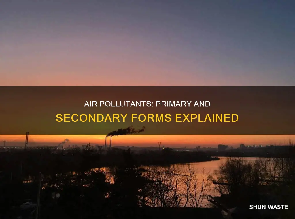 what are the primary and secondary air pollutants
