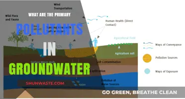 Groundwater Pollutants: Understanding Primary Contaminants