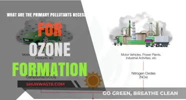 Understanding Key Pollutants Behind Ozone Formation