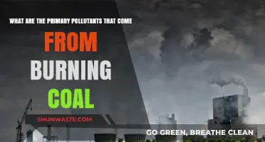 Coal Burning: Primary Pollutants and Their Impact