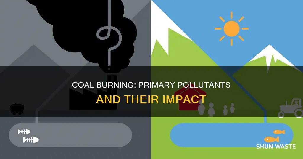 what are the primary pollutants that come from burning coal