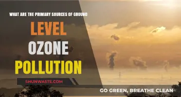Ozone Pollution: Understanding Primary Sources