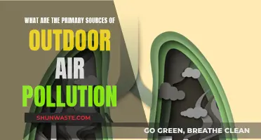 Outdoor Air Pollution: Understanding the Primary Sources