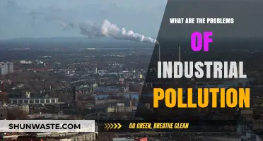 Industrial Pollution: Addressing the Pressing Issues