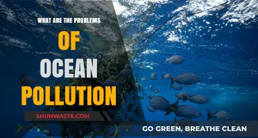 Ocean Pollution: Devastating Impact, Urgent Action Needed
