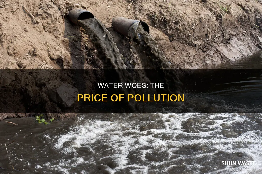 what are the problems of places polluting the water