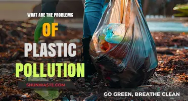 Plastic Pollution: A Global Crisis and Its Challenges