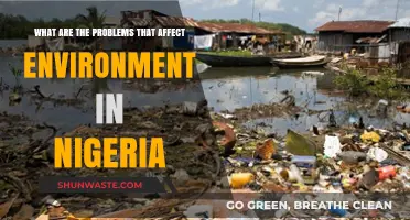 Nigeria's Environmental Crisis: Key Issues and Their Impact