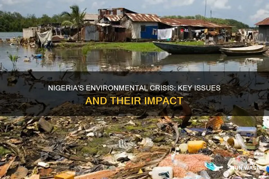 what are the problems that affect environment in nigeria