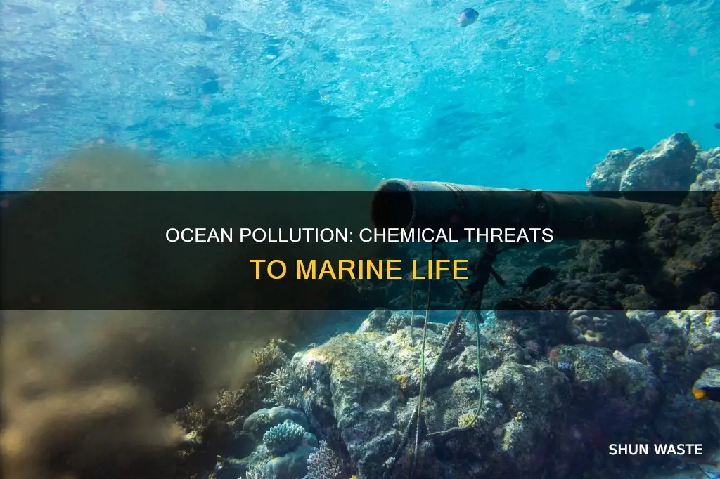 what are the problems with chemical ocean pollution