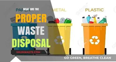 Eco-Friendly Waste Disposal: A Comprehensive Guide for Sustainable Living